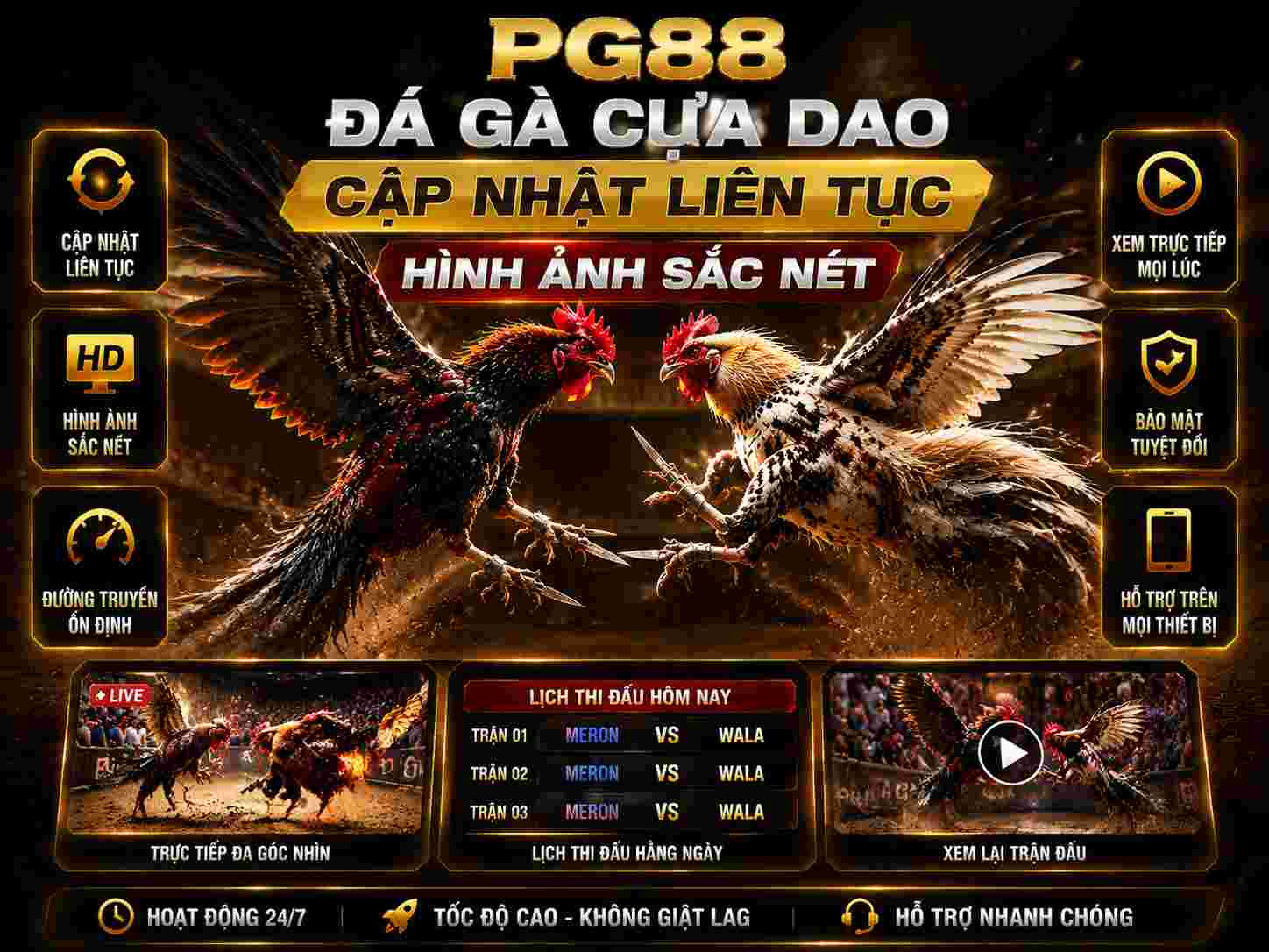 Đá gà cựa dao hình ảnh chân thực sắc nét, cập nhật liên tục