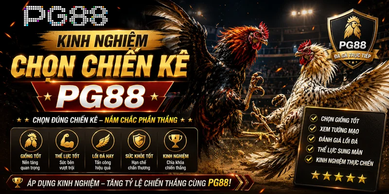 Mẹo và kinh nghiệm chơi đá gà PG88 hiệu quả